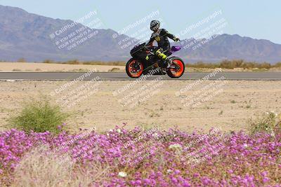 media/Mar-12-2023-SoCal Trackdays (Sun) [[d4c8249724]]/Turn 15 Inside Bloom (130pm)/